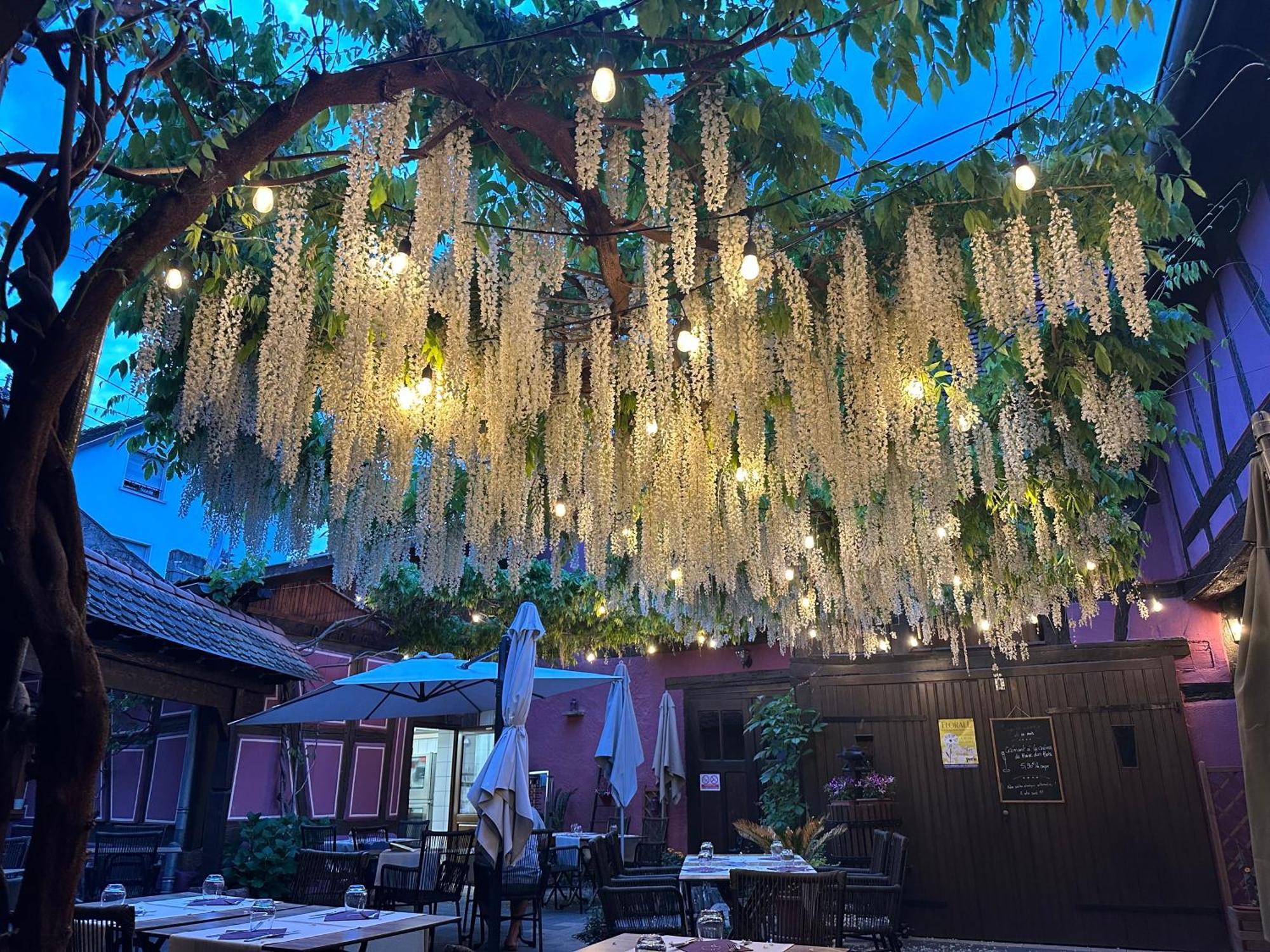 Châtenois Auberge Le Meisenberg מראה חיצוני תמונה