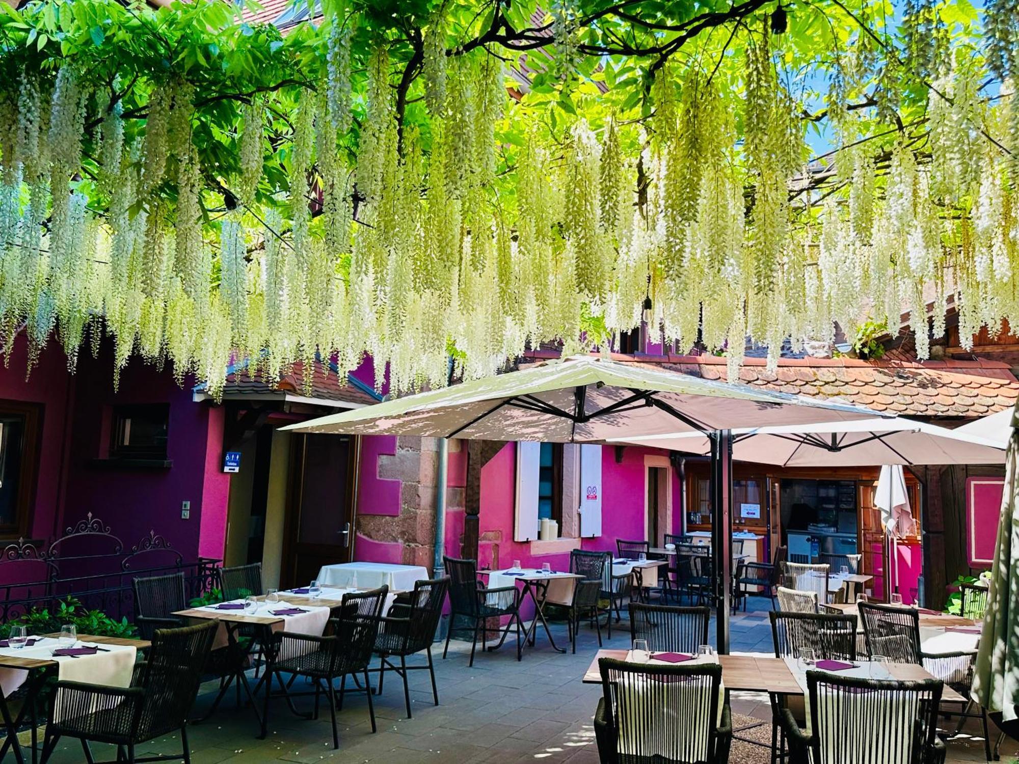 Châtenois Auberge Le Meisenberg מראה חיצוני תמונה