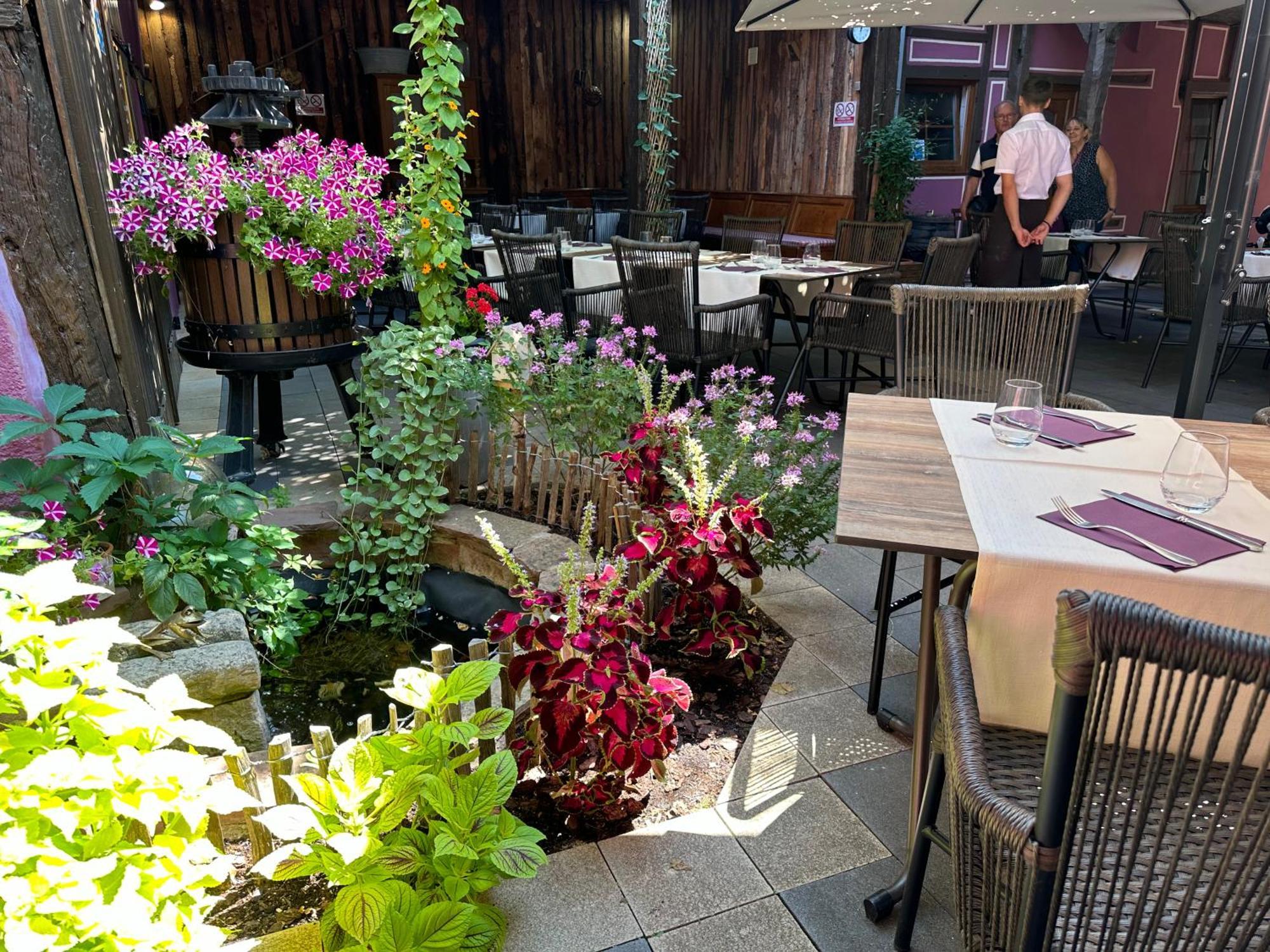 Châtenois Auberge Le Meisenberg מראה חיצוני תמונה