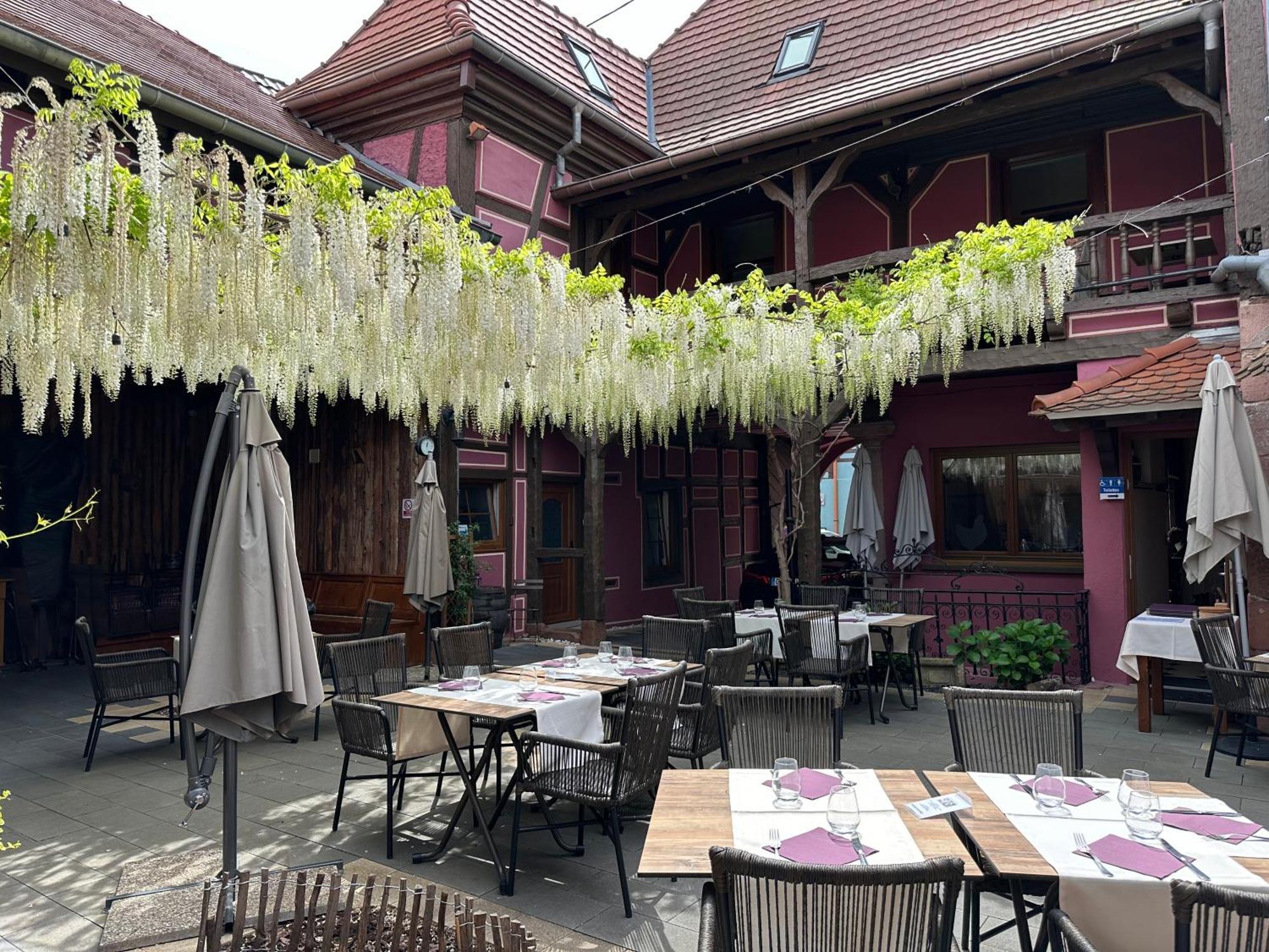 Châtenois Auberge Le Meisenberg מראה חיצוני תמונה