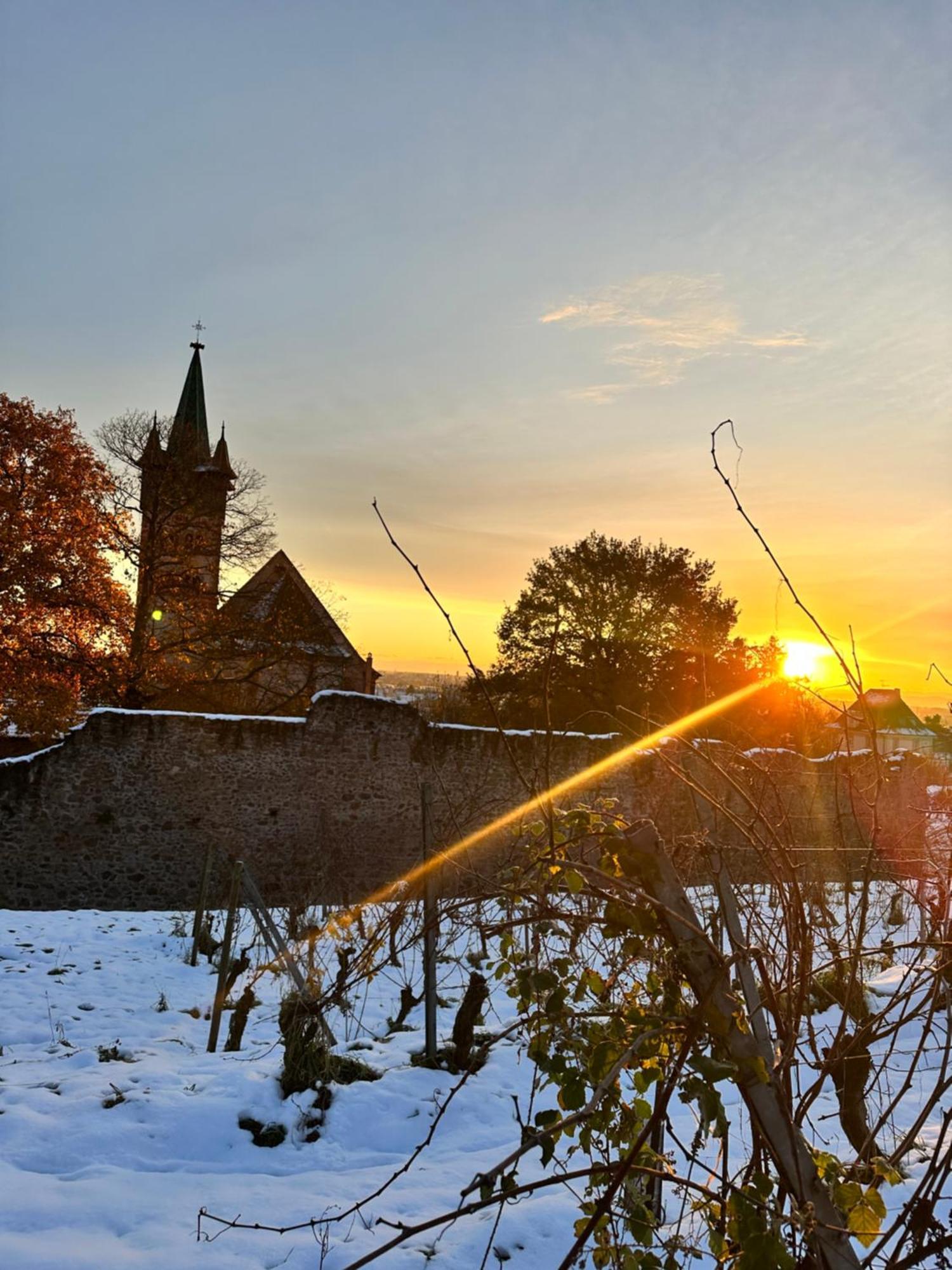 Châtenois Auberge Le Meisenberg מראה חיצוני תמונה